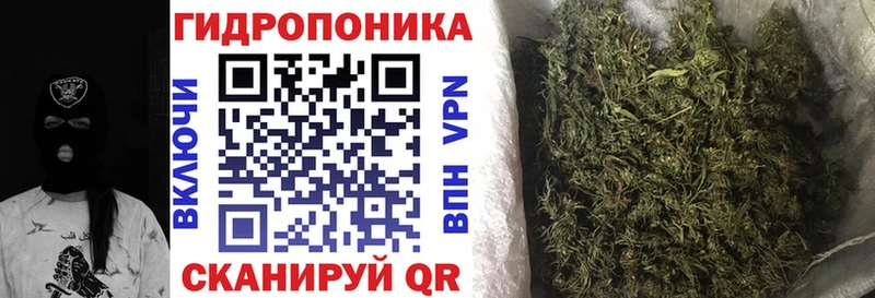 Каннабис индика  гидра tor  Тырныауз 